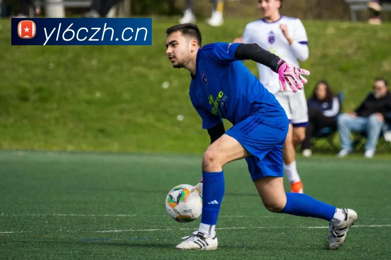 星空app官网登录入口发展历程